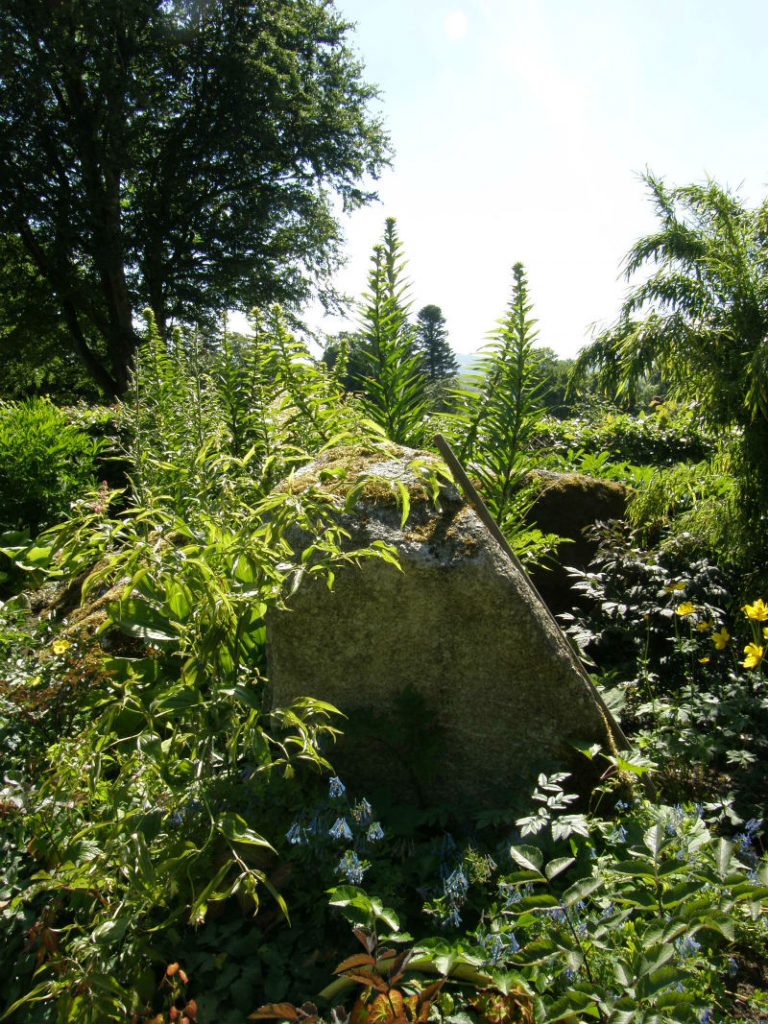 June Blake's Garden shadier planting